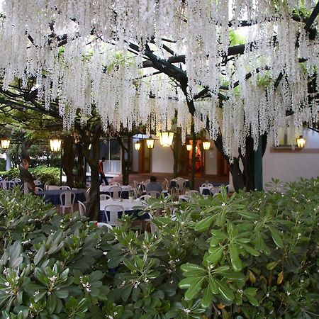 Albergo Ristorante Papa بسكييرا ديل غاردا المظهر الخارجي الصورة