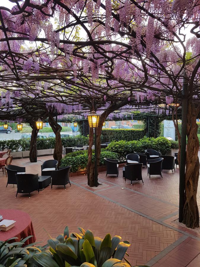 Albergo Ristorante Papa بسكييرا ديل غاردا المظهر الخارجي الصورة
